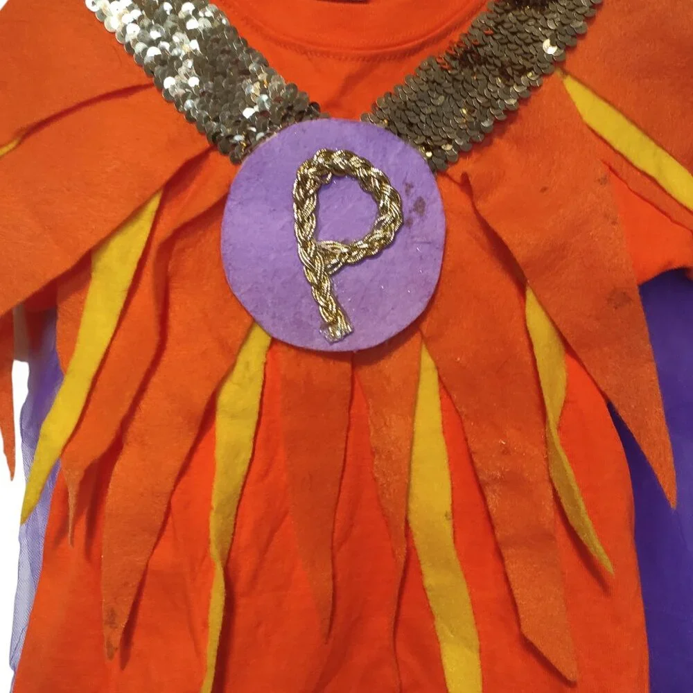 Handmade/Homemade Lion King Girl's Costume Shirt 